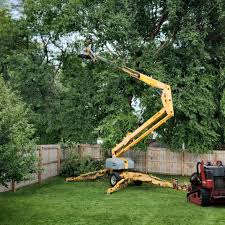 Trusted West Jefferson, OH Tree Removal and Landscaping Services Experts